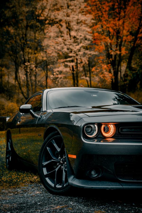 Dodge